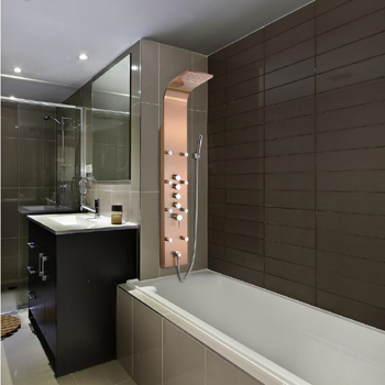 Ariel Shower Panel Review